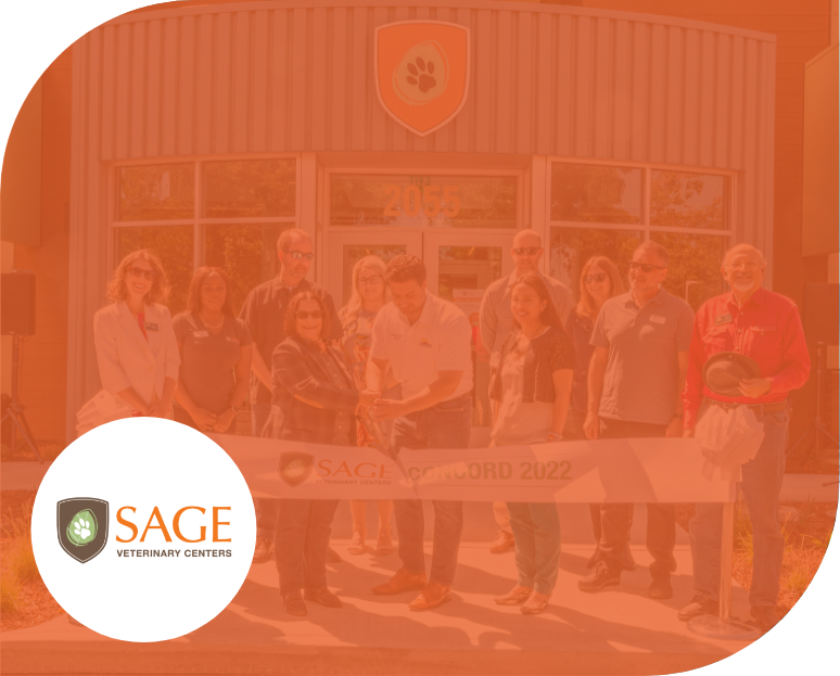 Sage_Work-Thumbnail