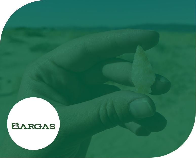 Bargas_Pod_Cover-arrowhead